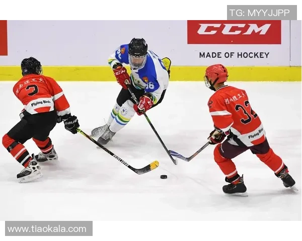 冰球突破挑战运气与技巧的完美结合,谁能在冰场上笑到最后